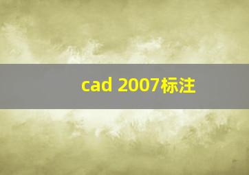 cad 2007标注